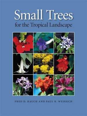 cover image of Small Trees for the Tropical Landscape
